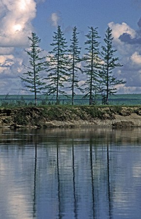 река Оленёк у метеостанции Яральин